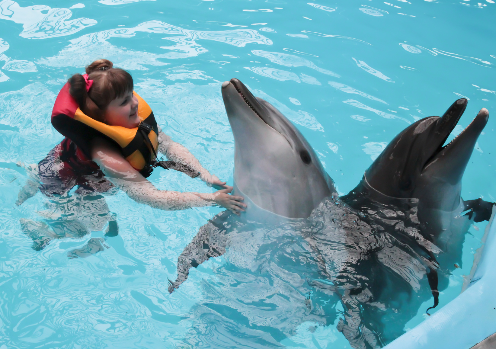 Delfinoterapia w Polsce?
