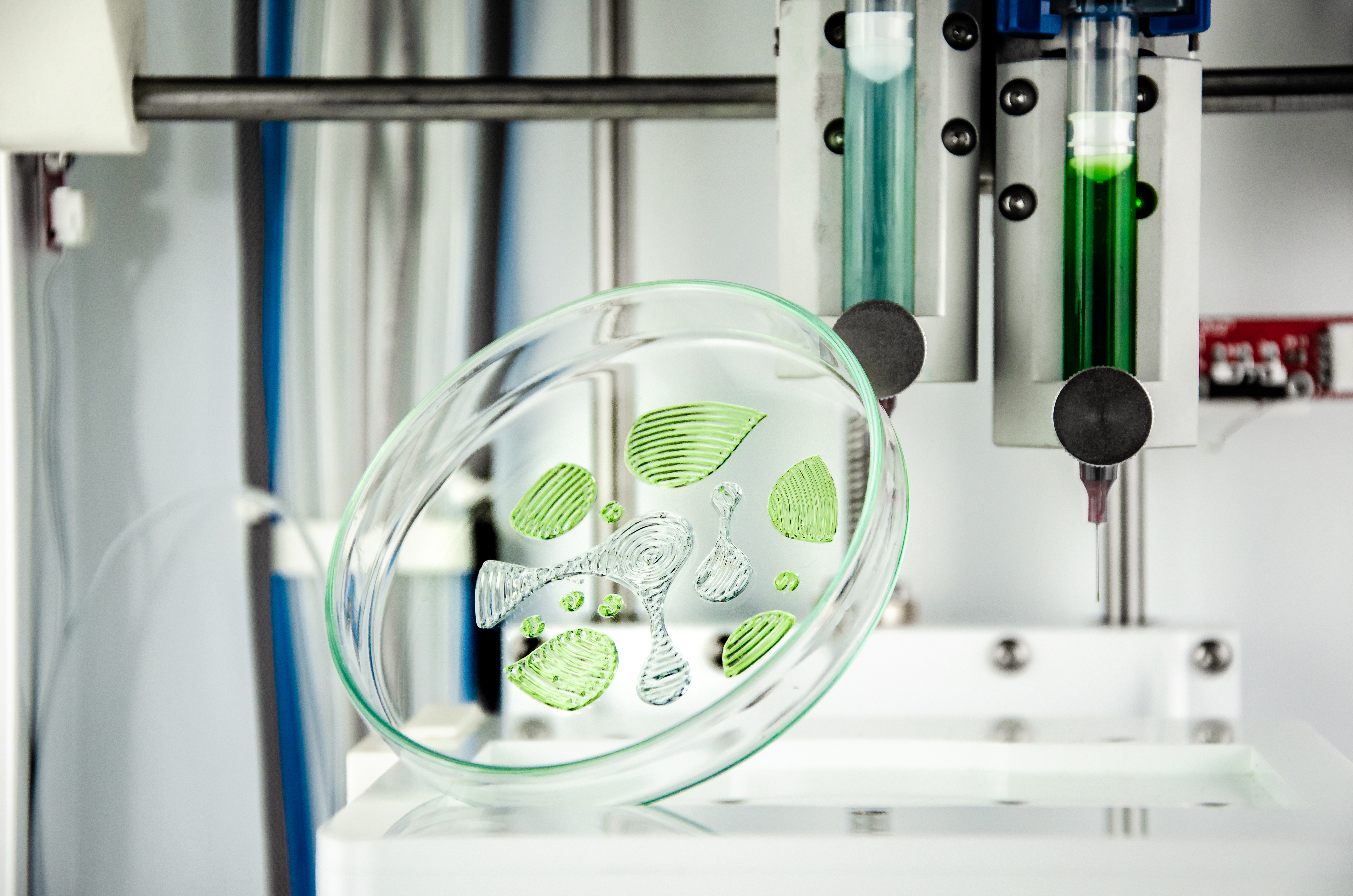 Biomaterials in Medicine and Veterinary Medicine | Rytro | 14-17.10.2021